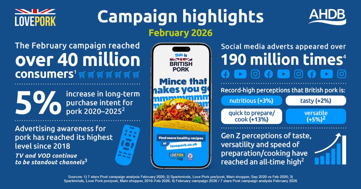 Infographic illustrating the Feb 2026 campaign highlights.